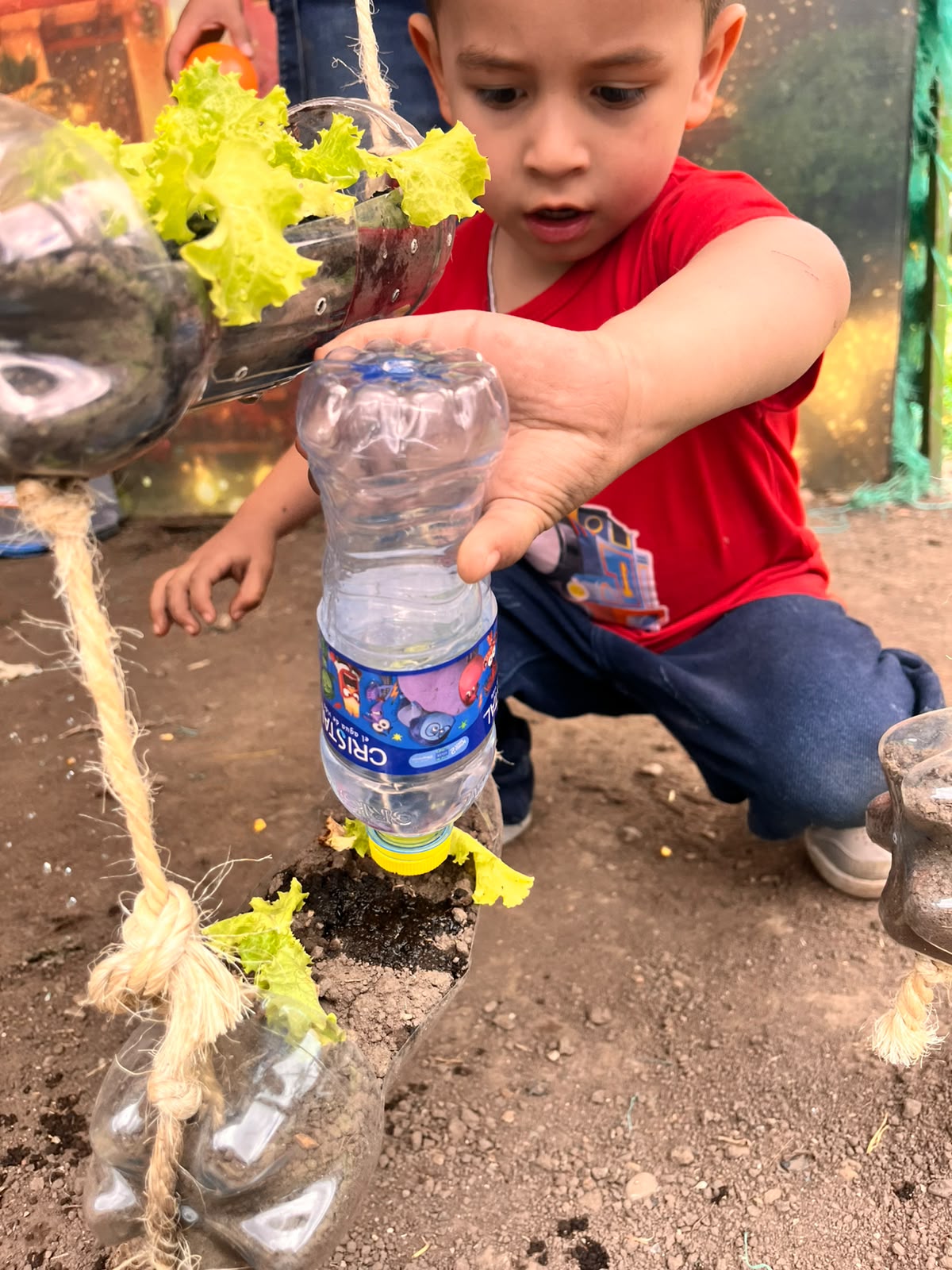 Experiencia 16 del Jardín Infantil Los Sauces