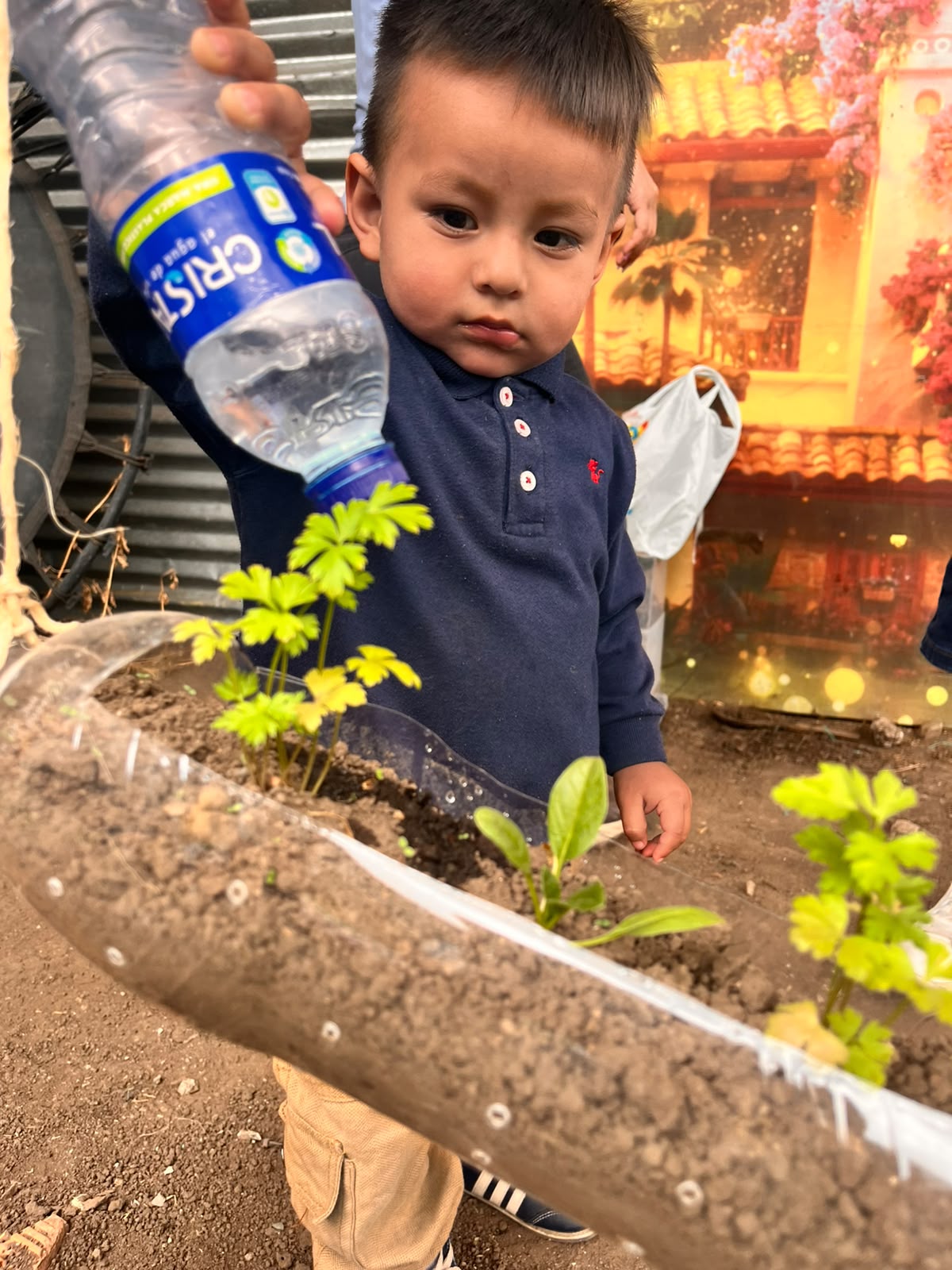 Experiencia 20 del Jardín Infantil Los Sauces