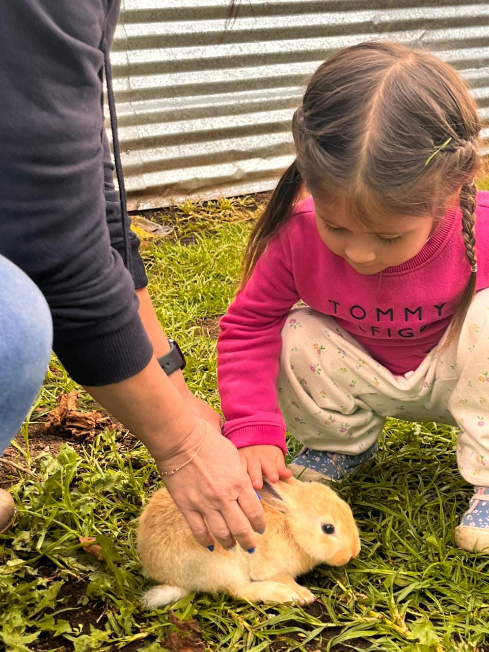 Experiencia 35 del Jardín Infantil Los Sauces