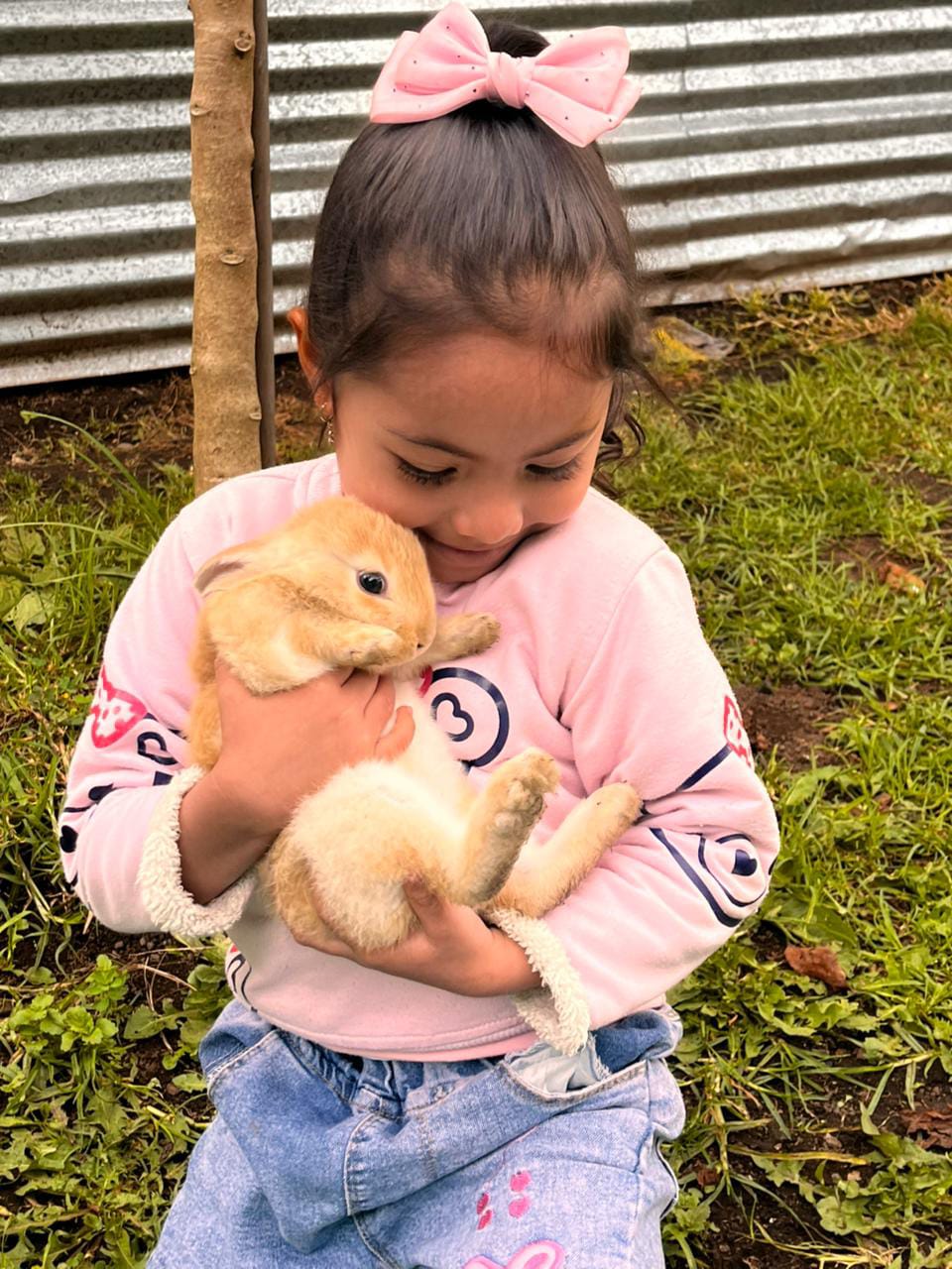 Experiencia 37 del Jardín Infantil Los Sauces